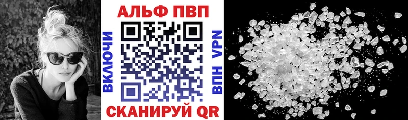 A PVP СК  Горно-Алтайск 