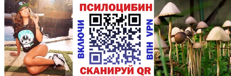 Галлюциногенные грибы ЛСД  магазин продажи   Горно-Алтайск 